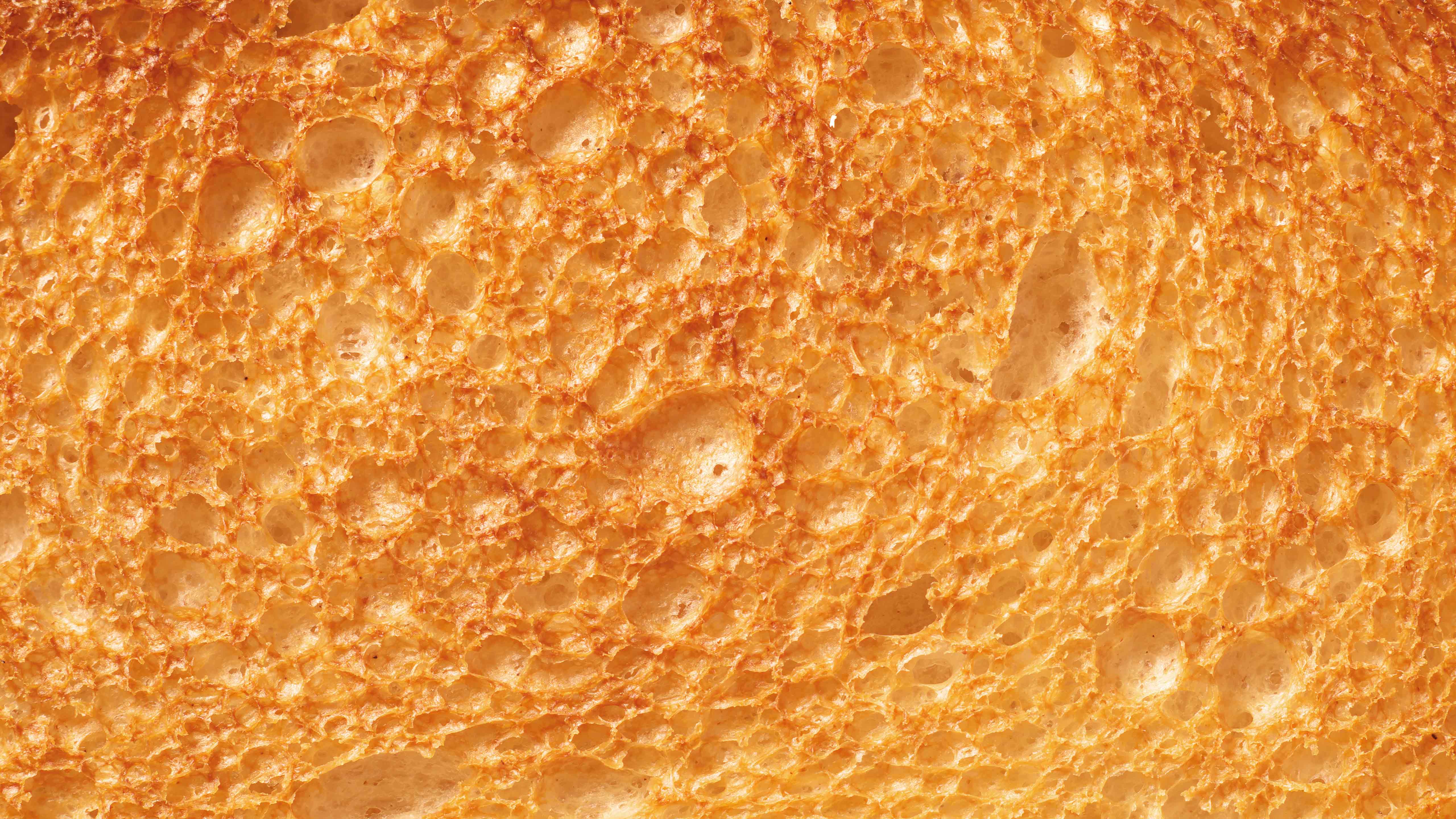 Closeup image of toast